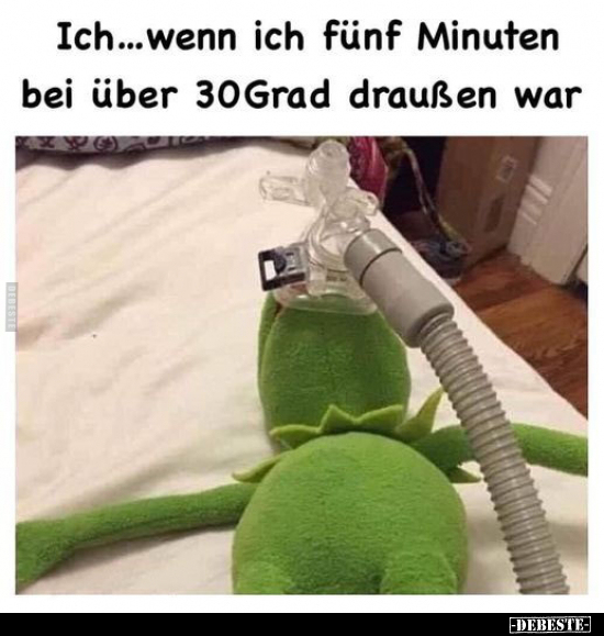 Ich...wenn ich fünf Minuten bei über 30Grad draußen war.. - Lustige Bilder | DEBESTE.de