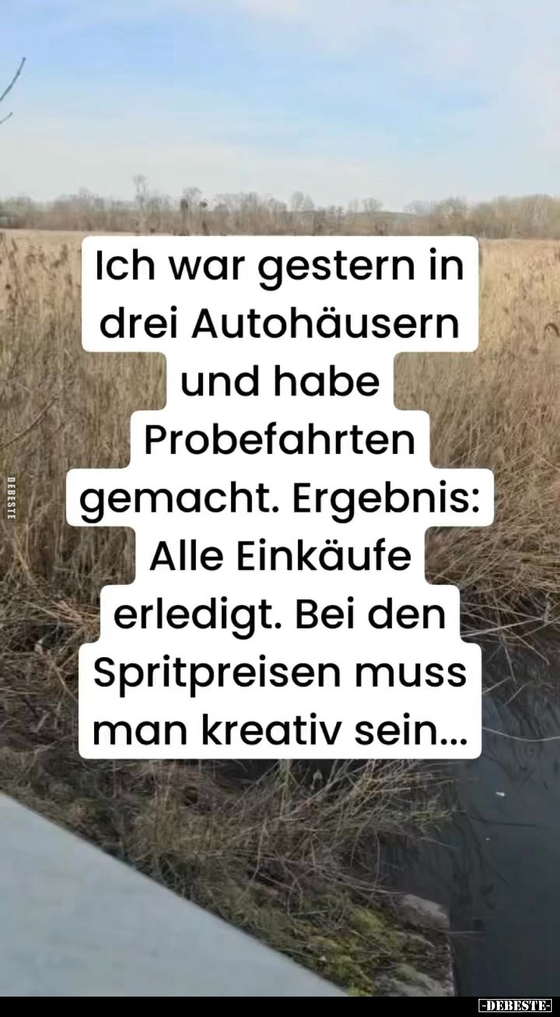 Bild