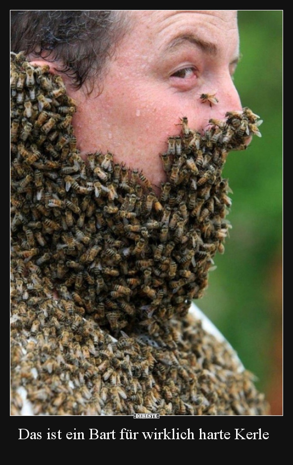 Das ist ein Bart für wirklich harte Kerle..