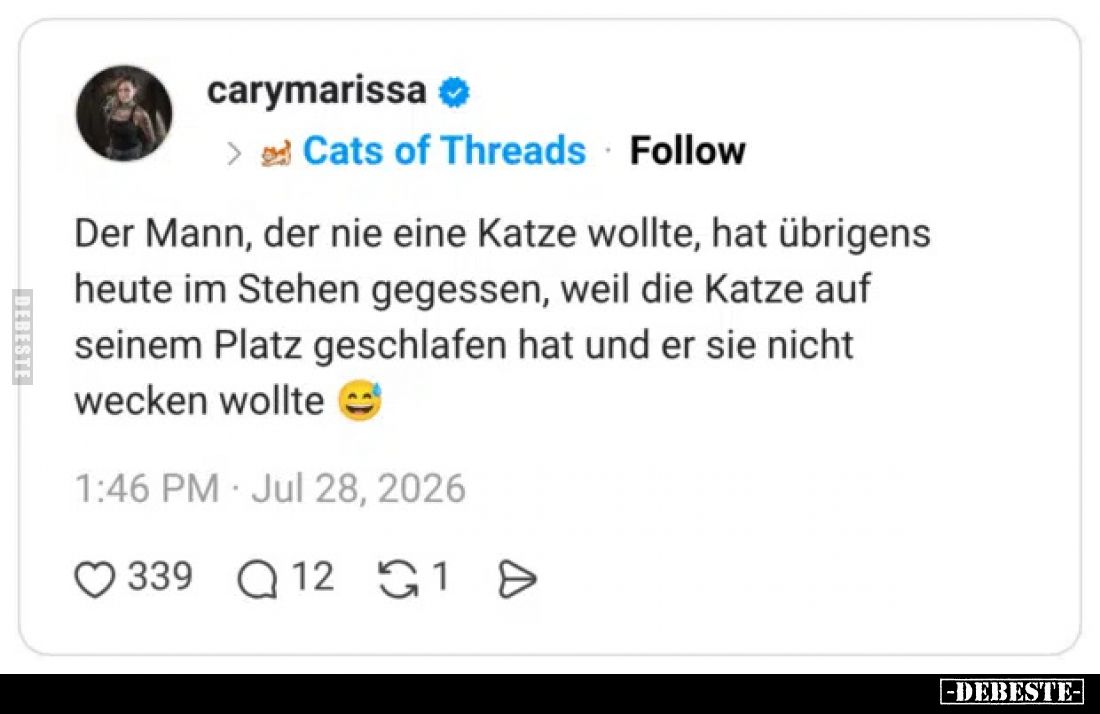 Der Mann, der nie eine Katze wollte, hat übrigens heute im Stehen gegessen, weil die Katze auf seinem Platz geschlafen hat un...