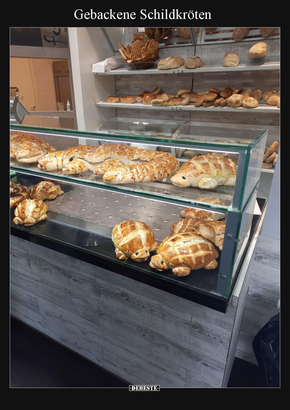 Gebackene Schildkröten