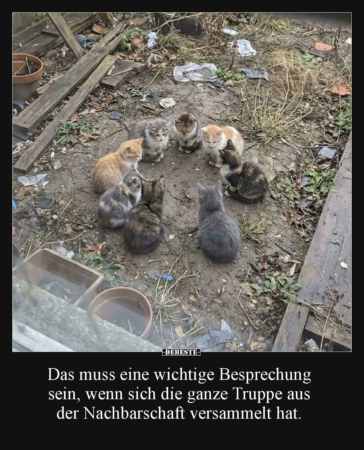 Das muss eine wichtige Besprechung sein, wenn sich die.. - Lustige Bilder | DEBESTE.de