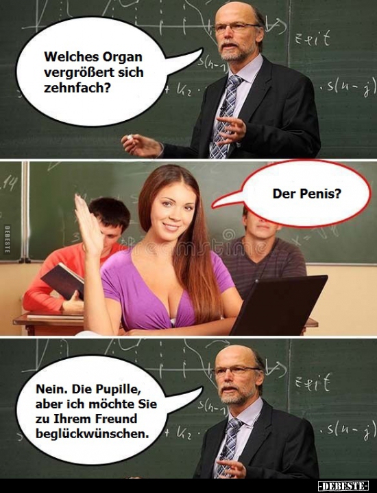 Welches Organ vergrößert sich zehnfach?..