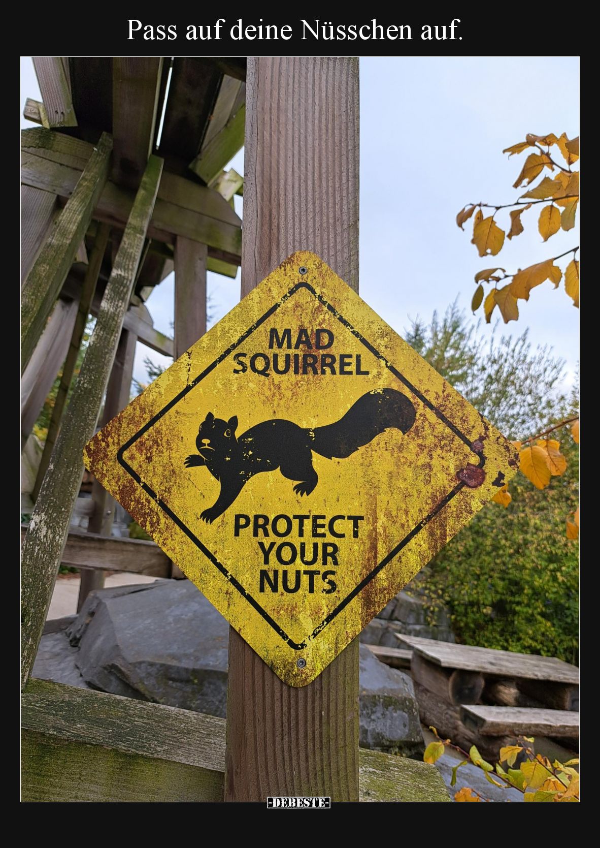 Pass auf deine Nüsschen auf.