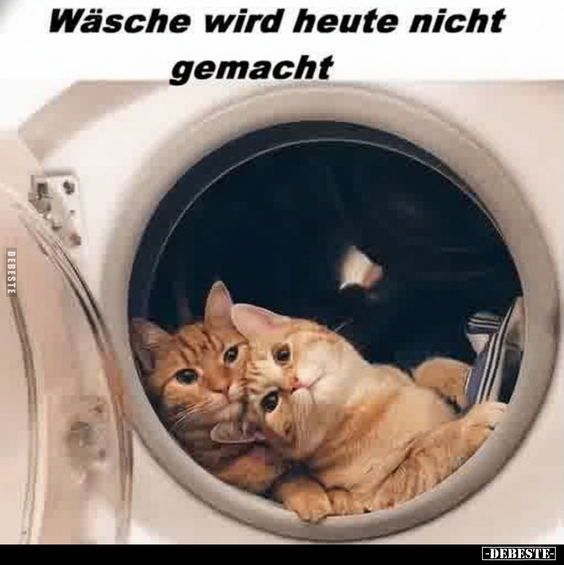 Wäsche wird heute nicht gemacht.. - Lustige Bilder | DEBESTE.de