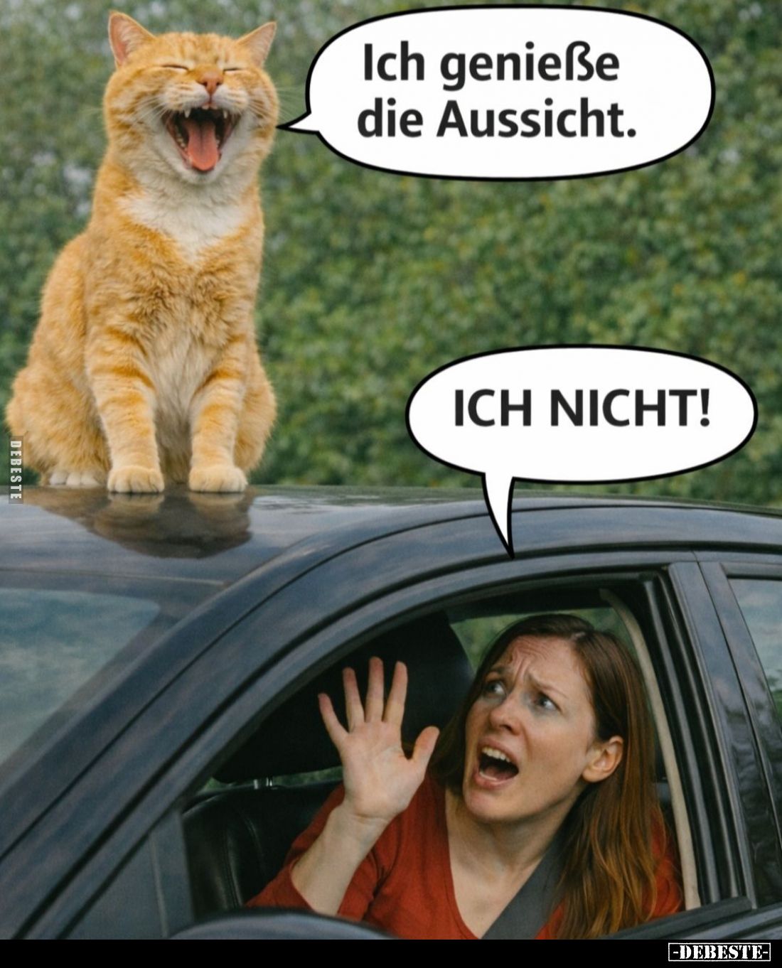 Ich genieße die Aussicht.
- Ich nicht!