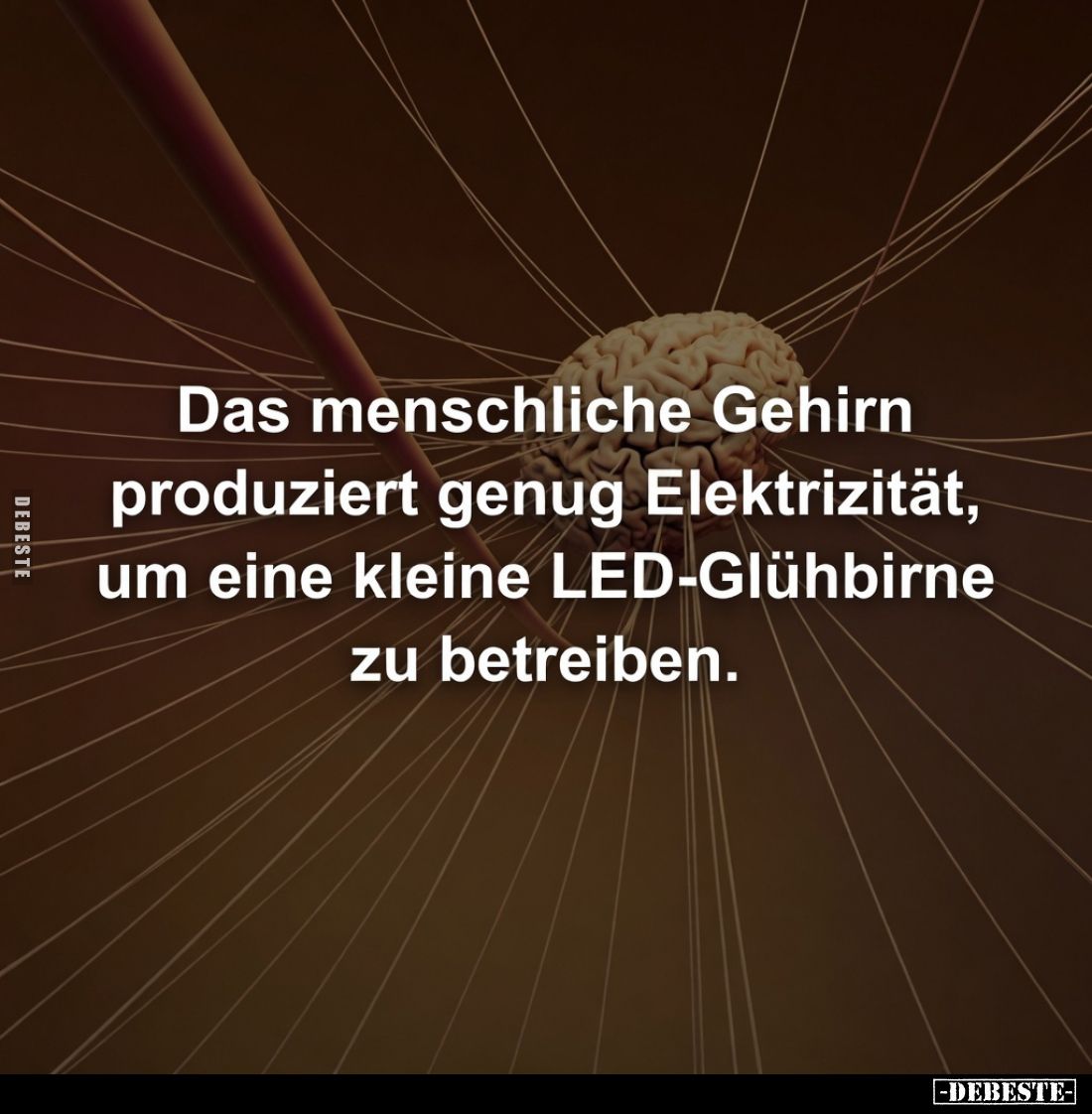 Das menschliche Gehirn produziert genug Elektrizität, um eine kleine LED-Glühbirne zu betreiben.