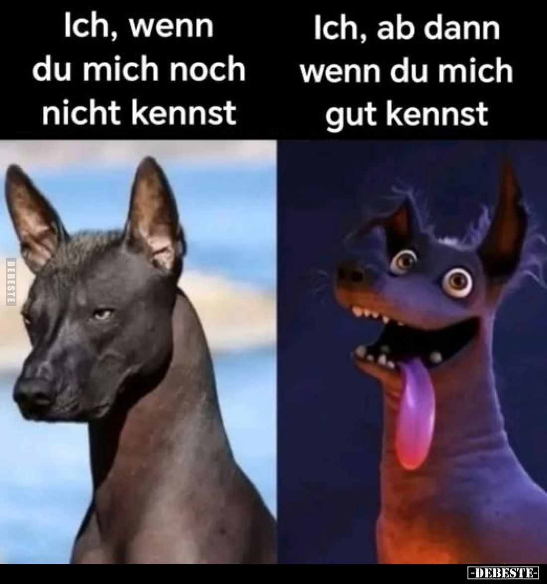 Ich, wenn du mich noch nicht kennst /
Ich, ab dann wenn du mich gut kennst