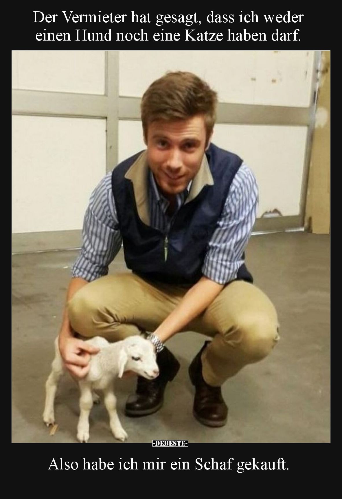 Der Vermieter hat gesagt, dass ich weder einen Hund noch.. - Lustige Bilder | DEBESTE.de