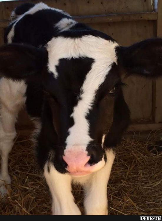 Die 7 ist meine Glückszahl!