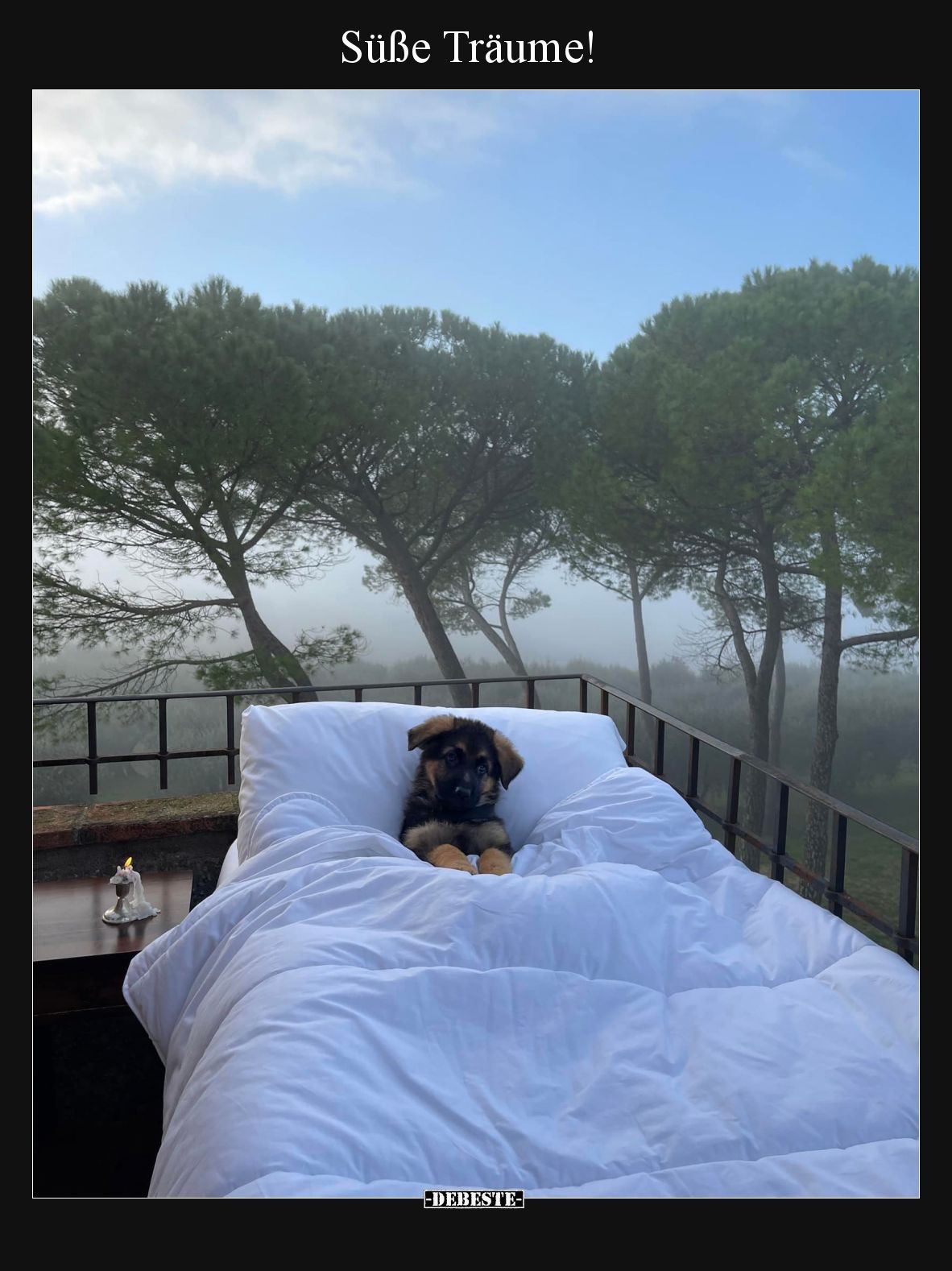 Süße Träume!