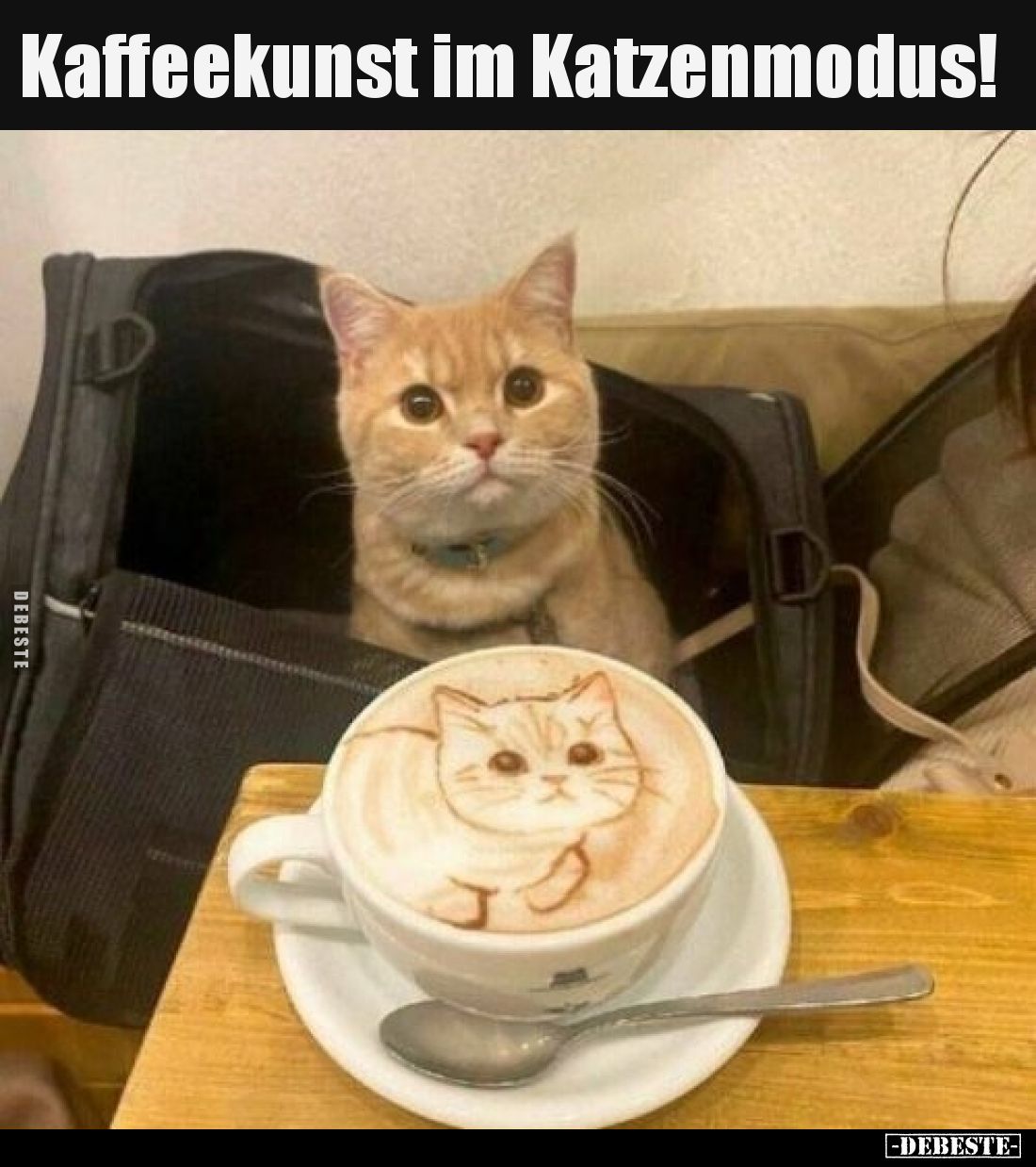 Kaffeekunst im Katzenmodus!