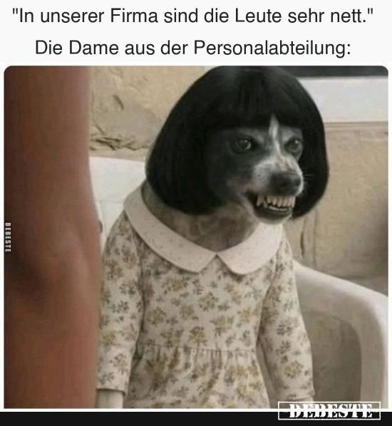  - Lustige Bilder | DEBESTE.de