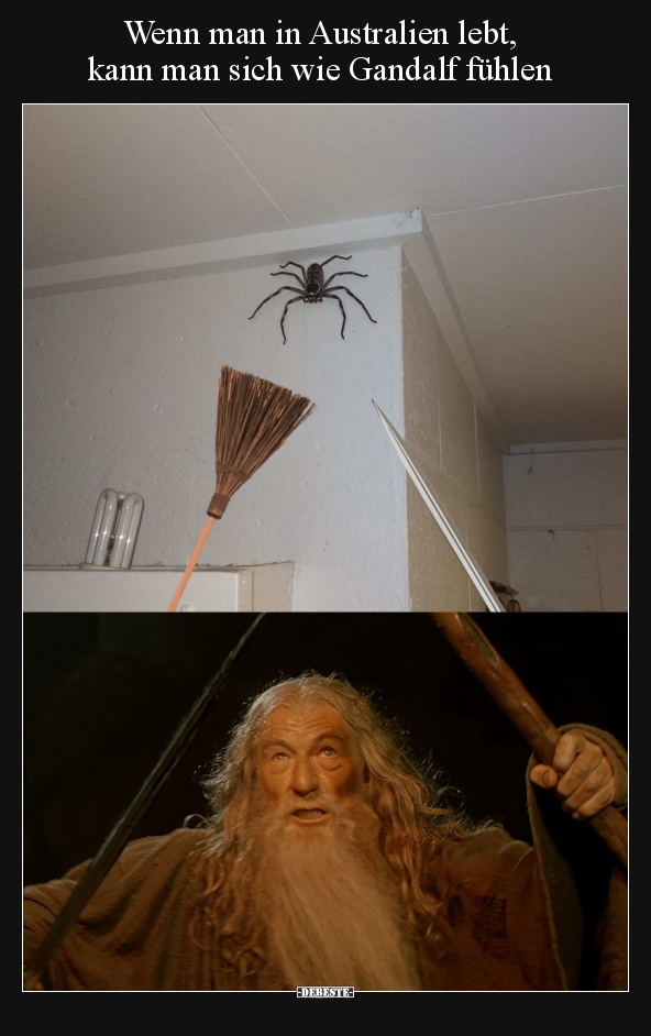 Wenn man in Australien lebt, kann man sich wie Gandalf.. - Lustige Bilder | DEBESTE.de