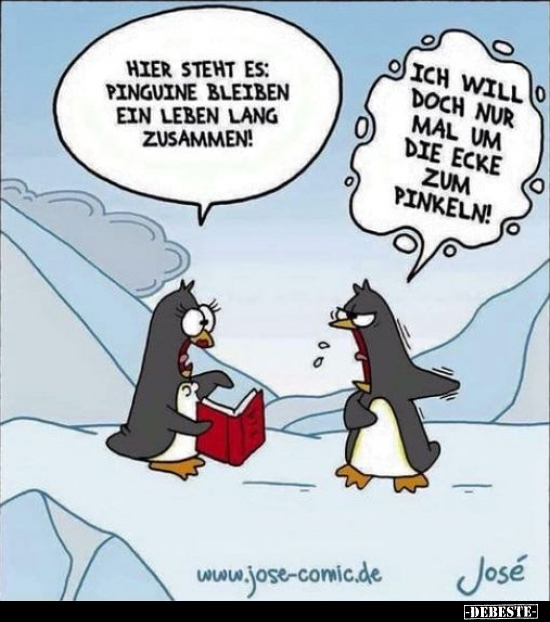 Hier steht es: Pinguine bleiben ein Leben lang.. - Lustige Bilder | DEBESTE.de