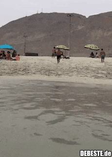 Es hätte so schön sein können..