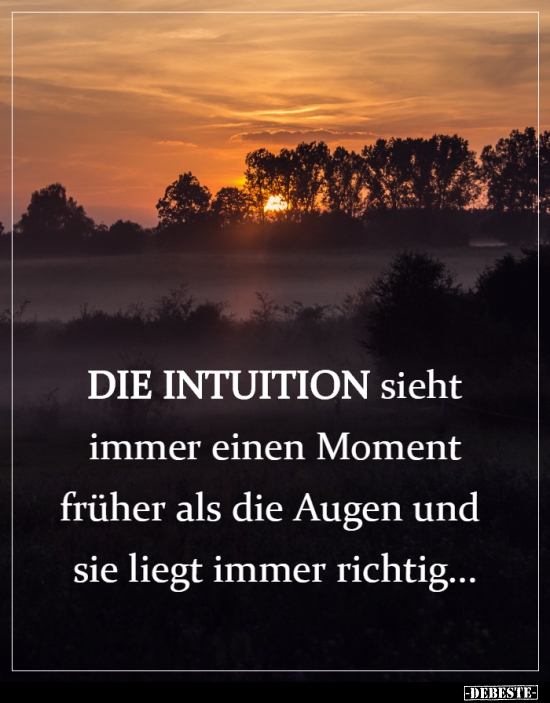 DIE INTUITION sieht immer einen Moment früher als die Augen.. - Lustige Bilder | DEBESTE.de