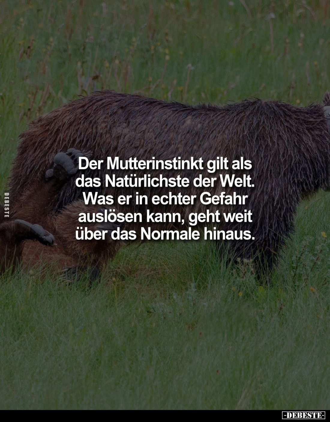 Der Mutterinstinkt gilt als das Natürlichste der Welt.
Was er in echter Gefahr auslösen kann, geht weit über das Normale hin...