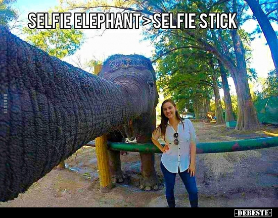 selfie lustig, selfie stick