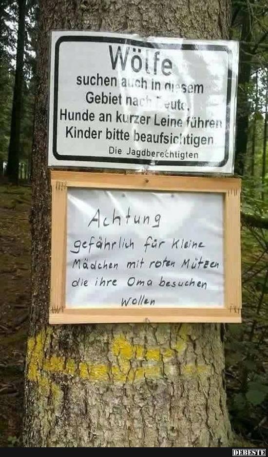 Wölfe suchen auch in diesem Gebiet nach Beute.. - Lustige Bilder | DEBESTE.de