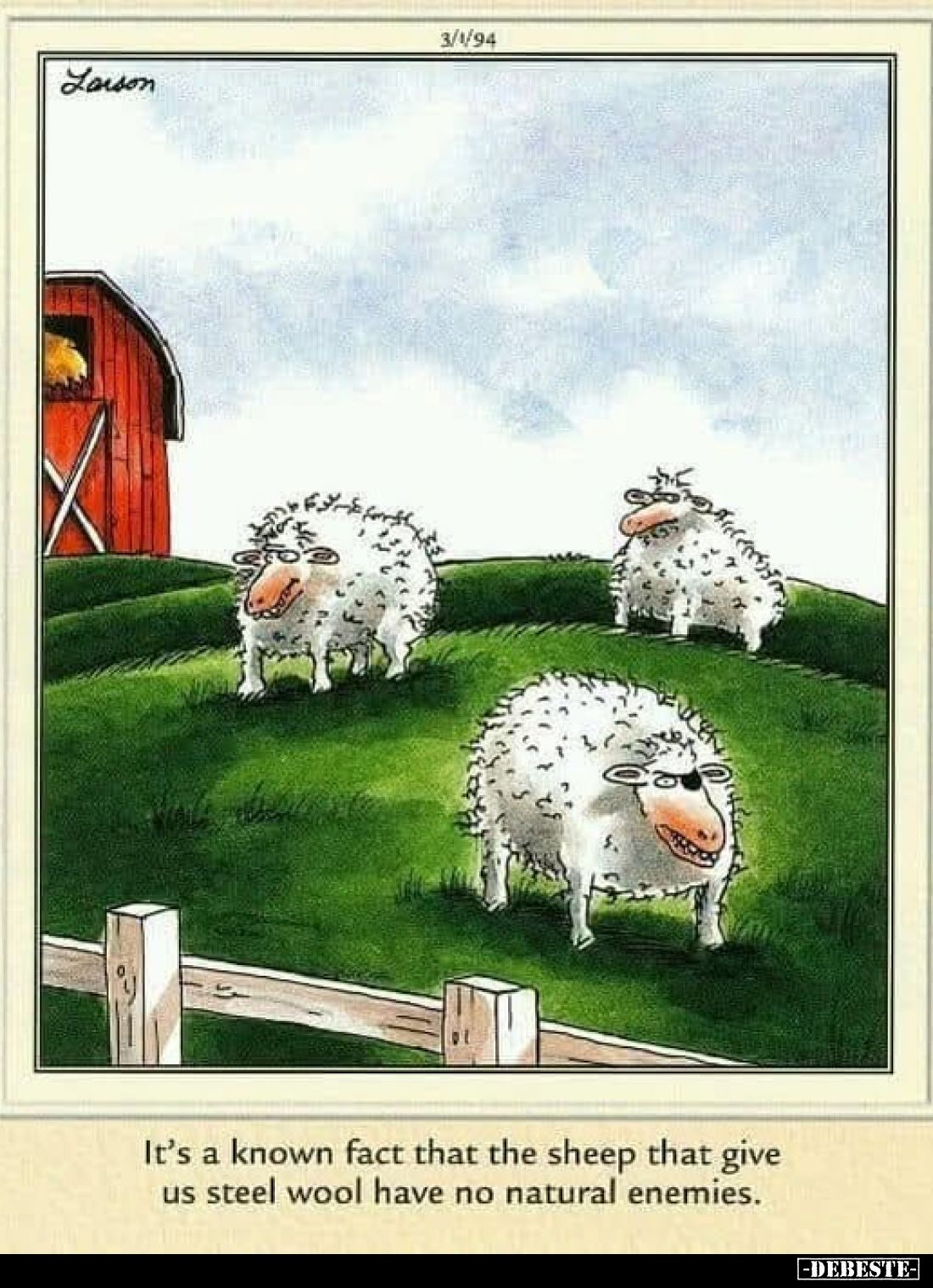 It's a known fact that the sheep that give us steel wool have no natural enemies.