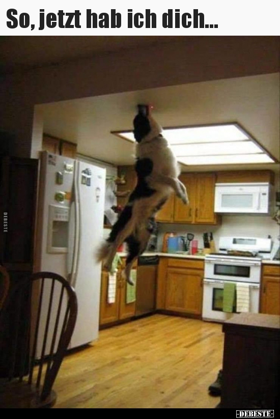 So, jetzt hab ich dich...