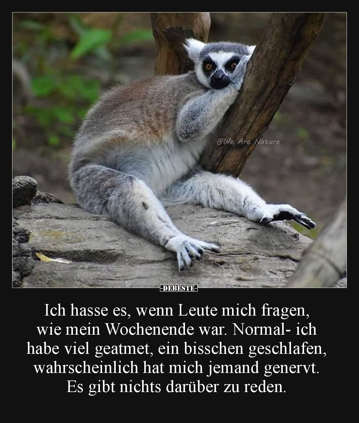 Ich hasse es, wenn Leute mich fragen, wie mein Wochenende war. Normal- ich habe viel geatmet, ein bisschen geschlafen, wahrsc...