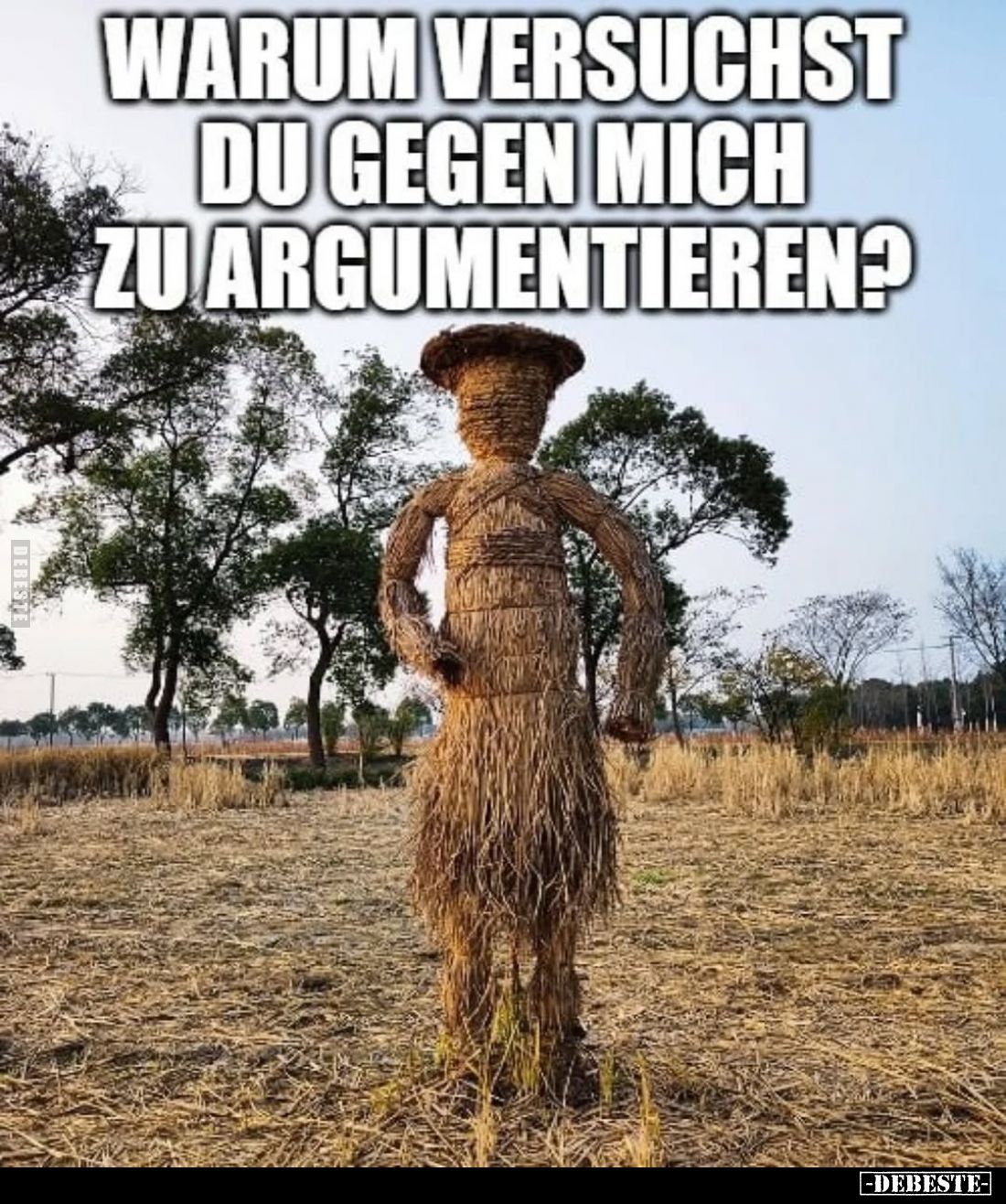 Warum versuchst du gegen mich zu argumentieren?