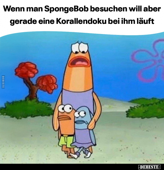 Wenn man SpongeBob besuchen will.. - Lustige Bilder | DEBESTE.de