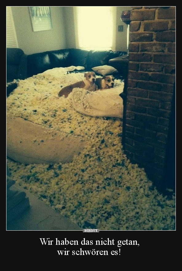 Wir haben das nicht getan, wir schwören es!
