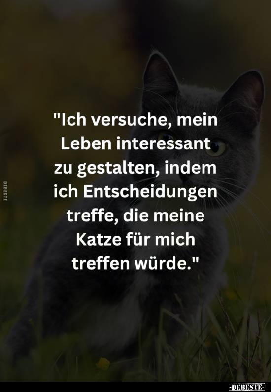 "Ich versuche, mein Leben interessant zu gestalten.." - Lustige Bilder | DEBESTE.de