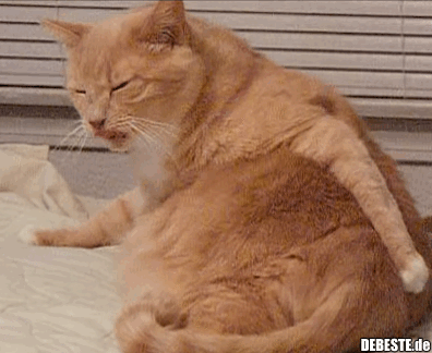 Das juckt heute wieder..