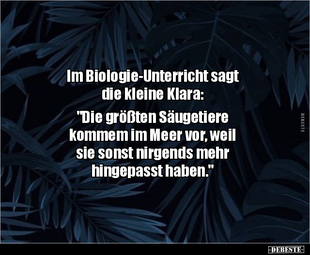 Im Biologie-Unterricht sagt die kleine Klara.. - Lustige Bilder | DEBESTE.de