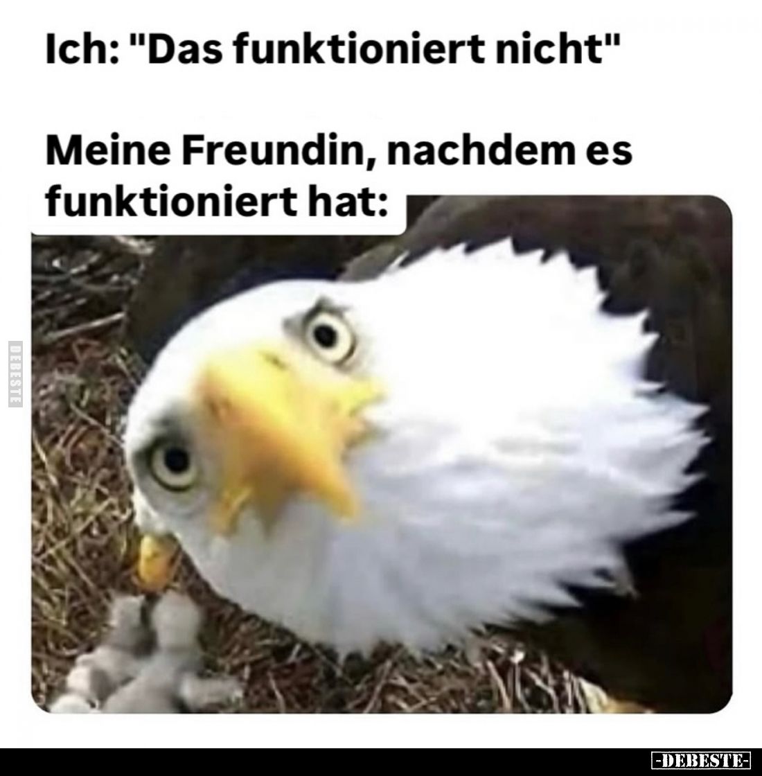 Ich: "Das funktioniert nicht." - 
Meine Freundin, nachdem es funktioniert hat: