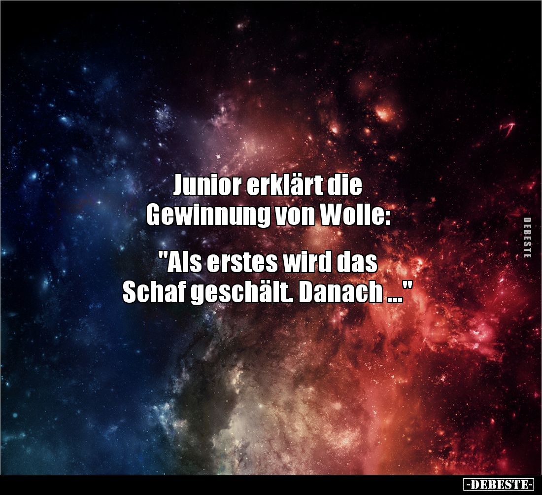 Junior erklärt die 
Gewinnung von Wolle: 


"Als erstes wird das 
Schaf geschält. Danach ..."