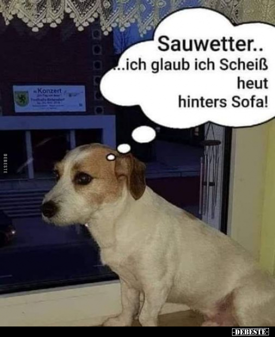 Sauwetter.. ich glaub ich Schei*ß heut hinters Sofa!.. - Lustige Bilder | DEBESTE.de
