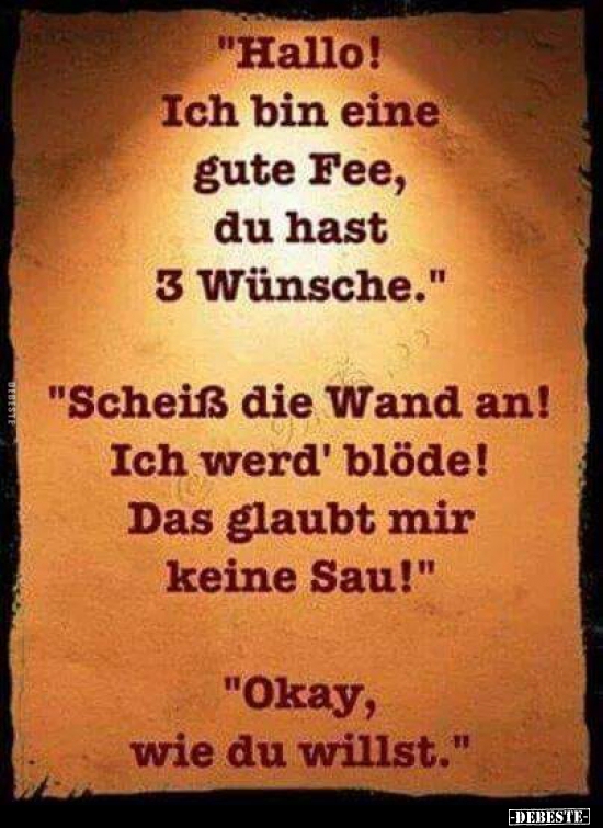 "Hallo! Ich bin eine gute Fee, du hast 3 Wünsche..." - Lustige Bilder | DEBESTE.de