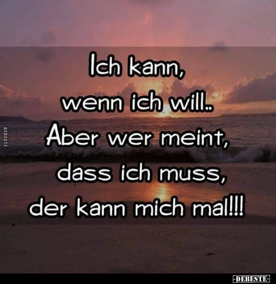 Ich kann, wenn ich will... Aber wer meint, dass ich muss, der kann mich mal!!!