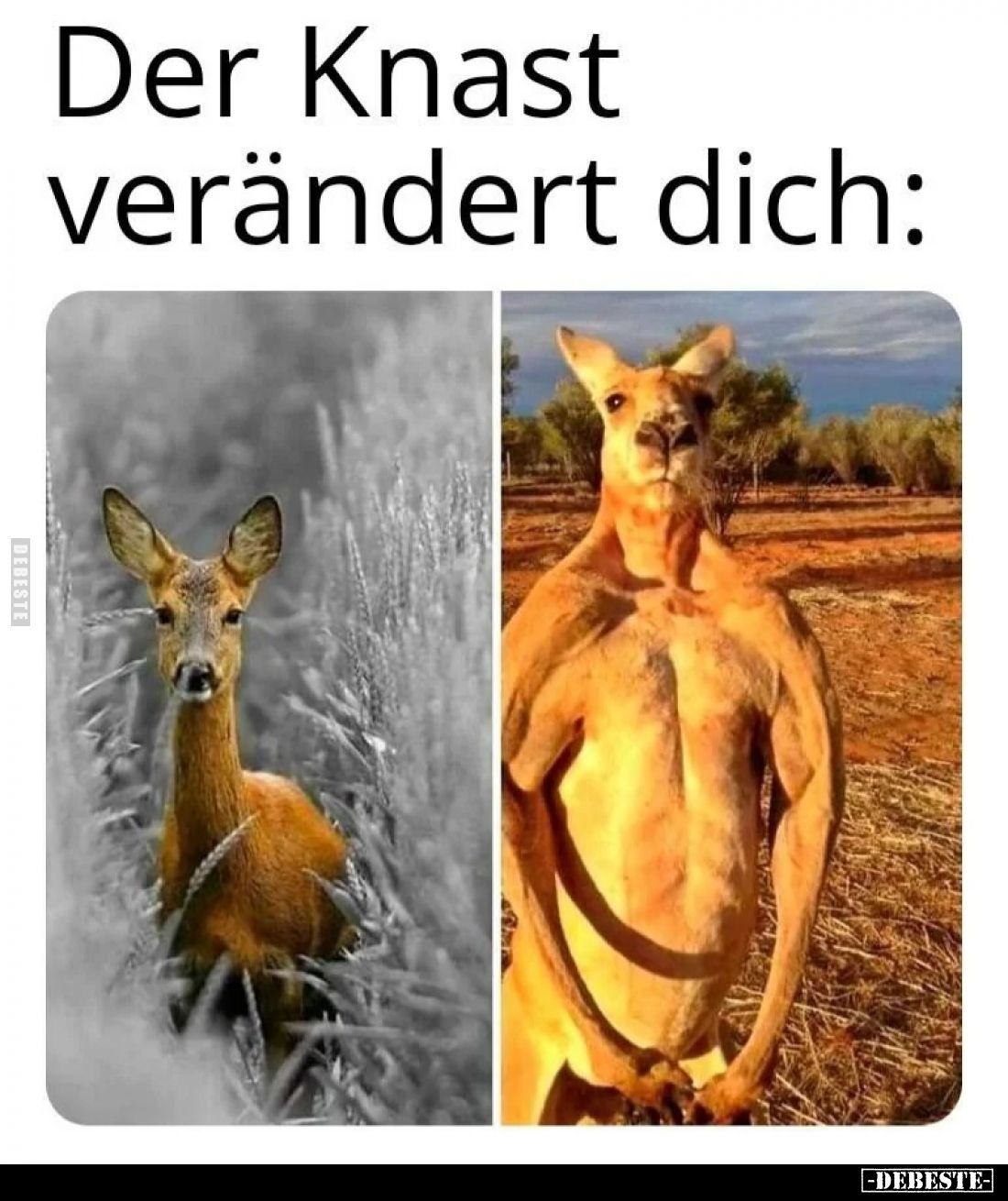 Der Knast verändert dich: