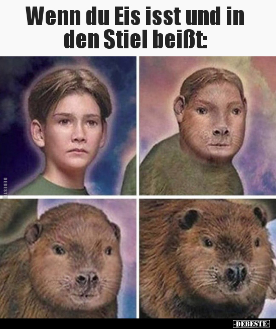 Wenn du Eis isst und in den Stiel beißt..