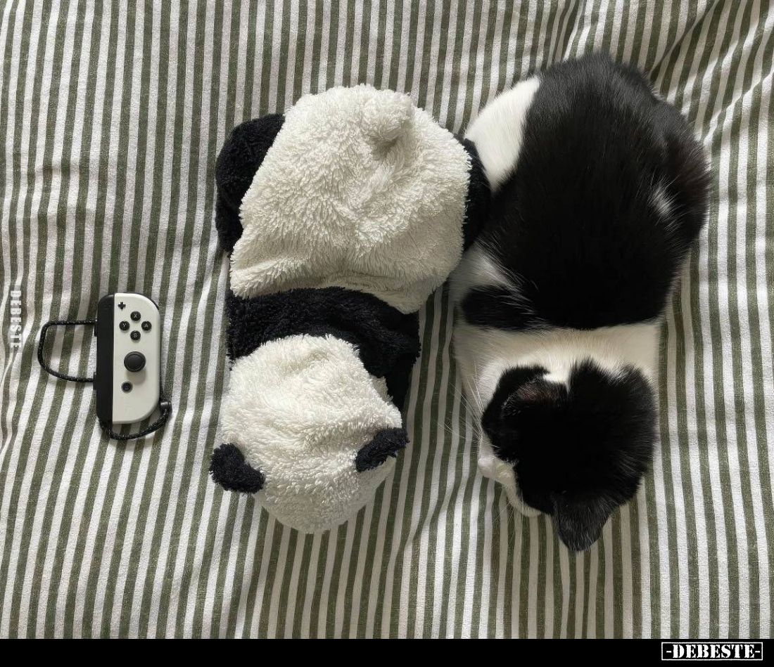  - Lustige Bilder | DEBESTE.de