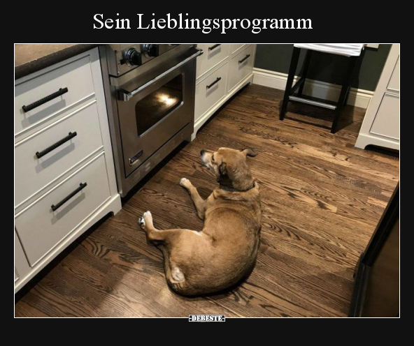 Sein Lieblingsprogramm.. - Lustige Bilder | DEBESTE.de