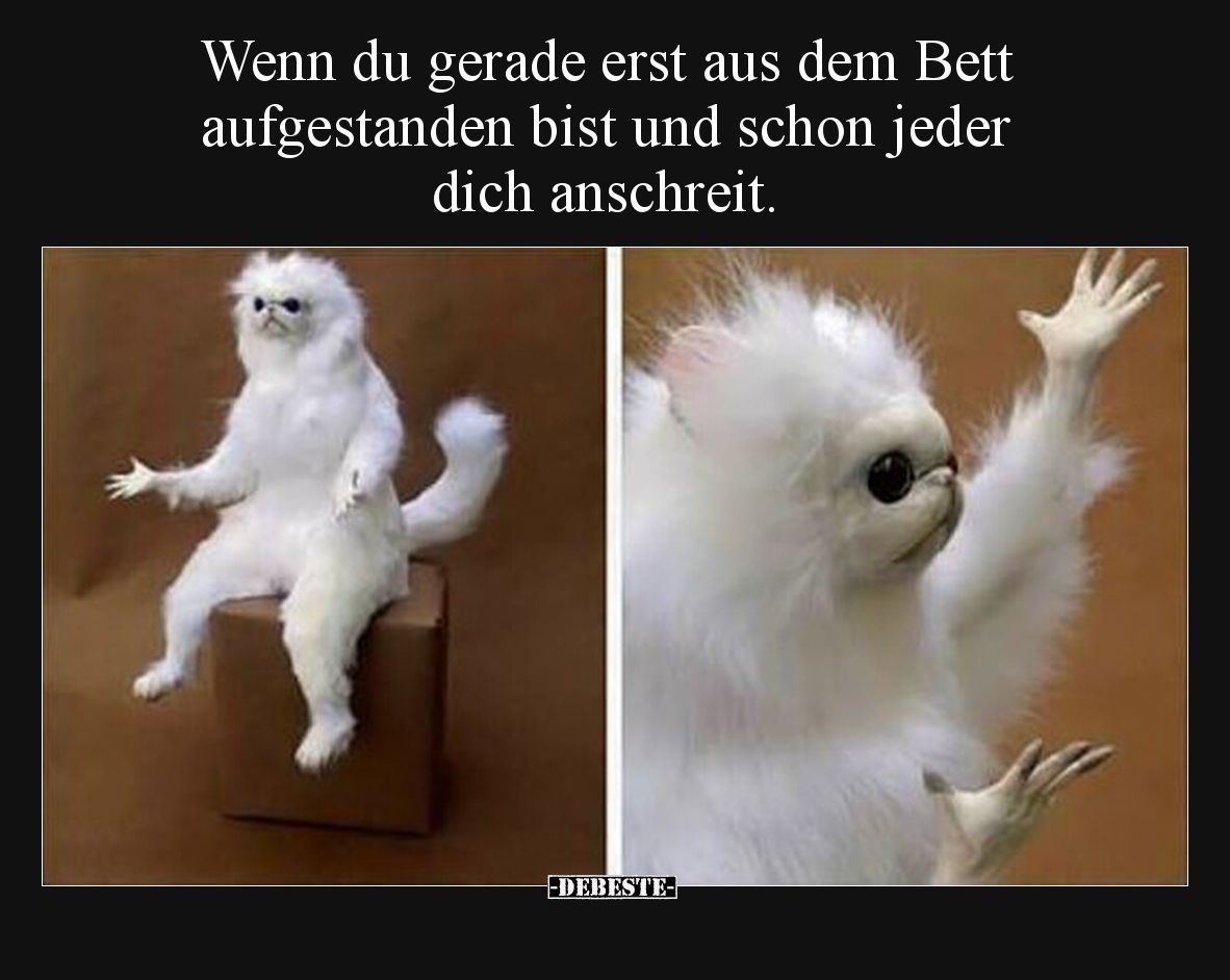 Wenn du gerade erst aus dem Bett aufgestanden bist und schon jeder dich anschreit.