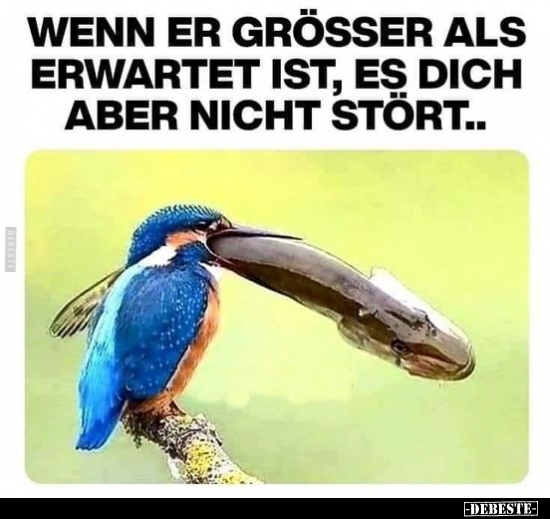 Wenn er grösser als erwartet ist, es dich aber nicht stört...