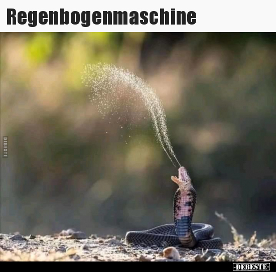 Regenbogenmaschine..