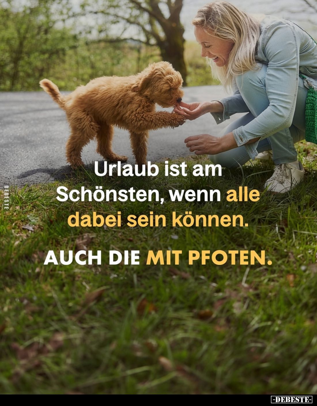 Urlaub ist am Schönsten, wenn alle dabei sein können. AUCH DIE MIT PFOTEN.
