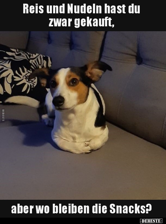 Reis und Nudeln hast du zwar gekauft, aber wo bleiben die..
