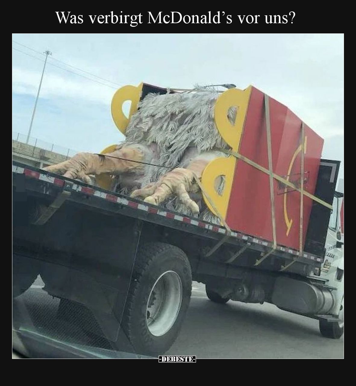 Was verbirgt McDonald’s vor uns?