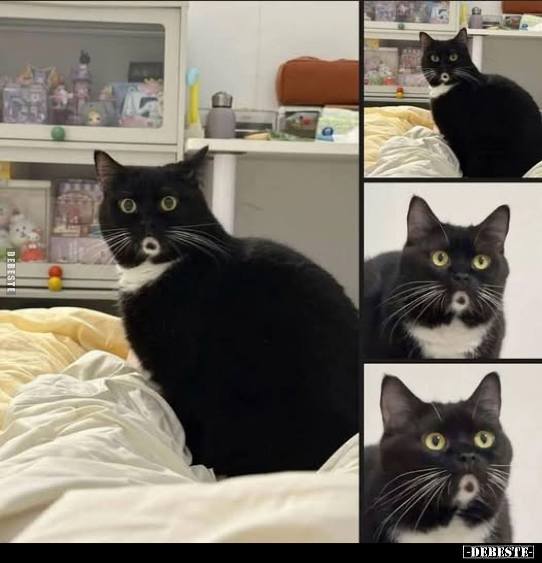  - Lustige Bilder | DEBESTE.de