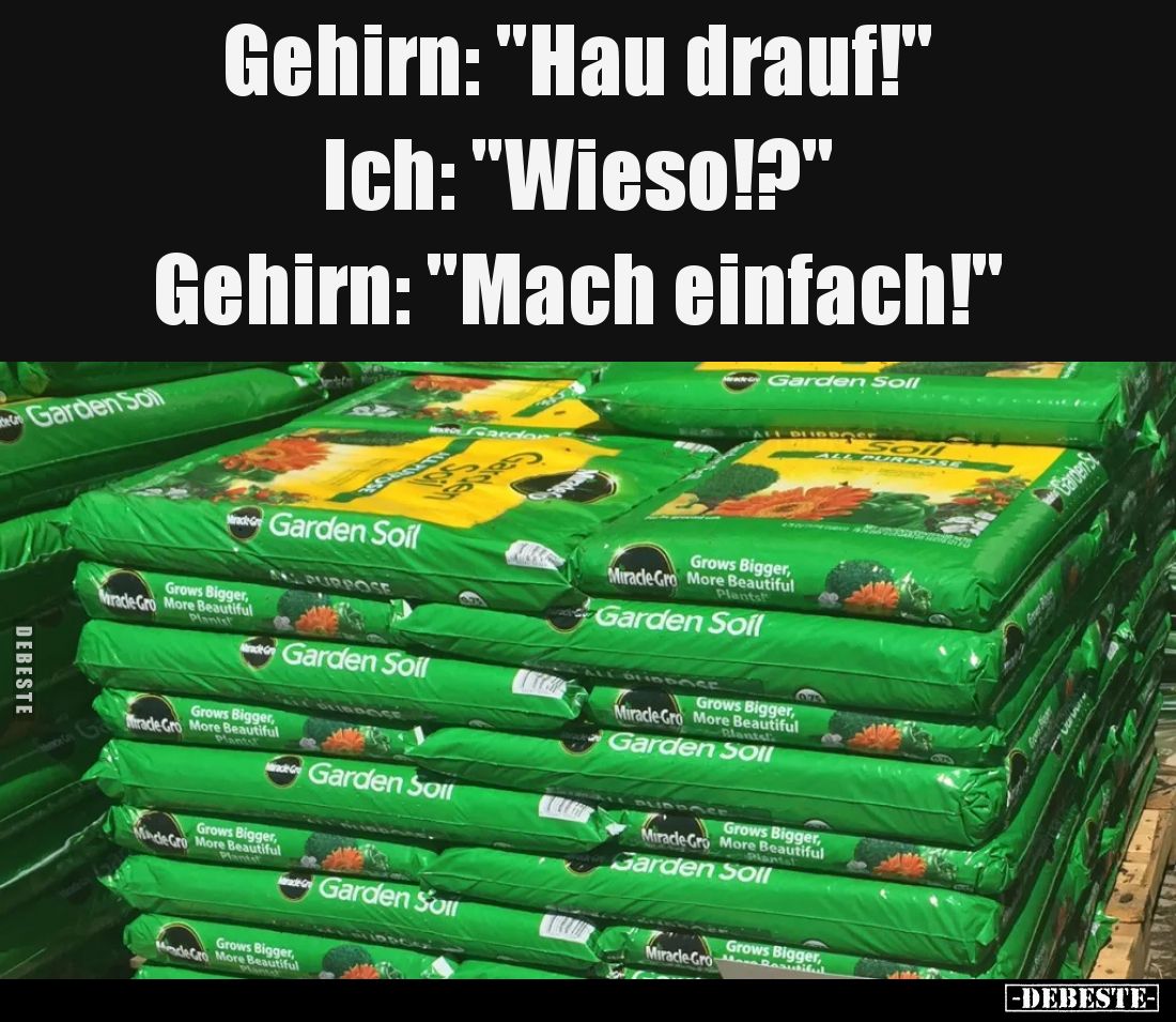 Gehirn: "Hau drauf!" -
Ich: "Wieso!?" -
Gehirn: "Mach einfach!"